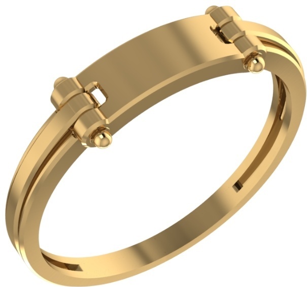 Кольцо 01-107527 Кольцо