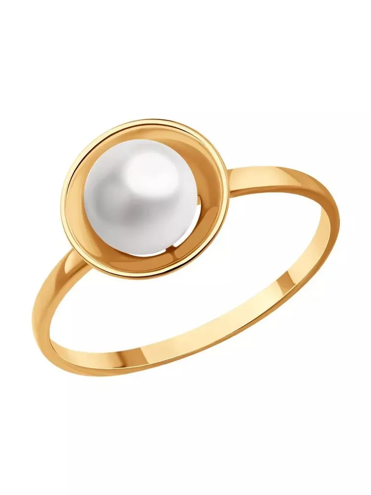 Кольцо 51-310-01823-1