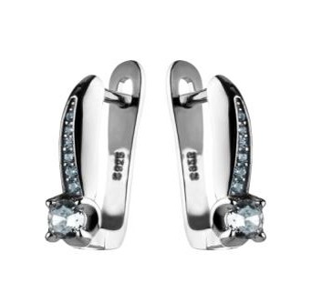 Серьги CAS5406E